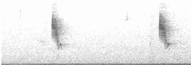Hooded Yellowthroat - ML616647414