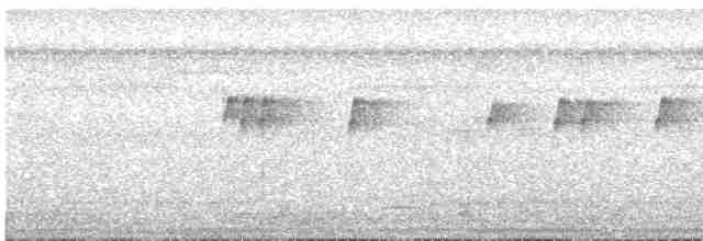 Мухолов-клинодзьоб сірий - ML616648120