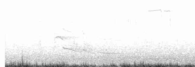 Краснохвостый канюк (borealis) - ML616649105