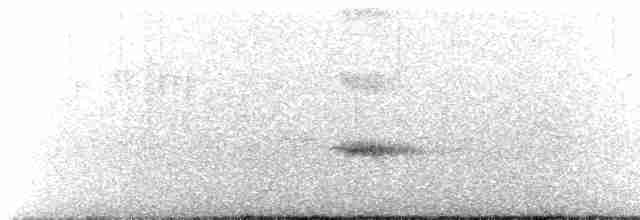 Iiwikleidervogel - ML616650035