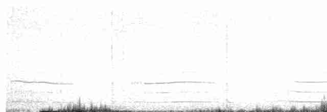 amerikasivhøne (galeata gr.) - ML616650918
