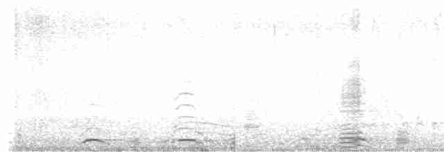 Лебідь чорнодзьобий - ML616652613