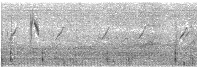 Берингийская жёлтая трясогузка - ML616653341