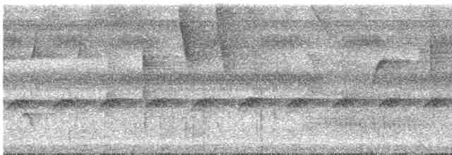 Uzun Kanatlı Karıncaçıvgını - ML616655212