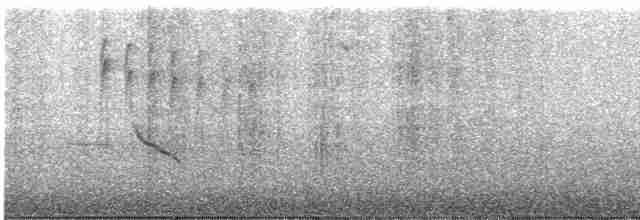 Plectrophane des neiges - ML616655664
