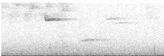 Белогрудый крапивник - ML616656544