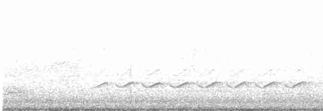 Каролинский поползень (aculeata/alexandrae) - ML616659218
