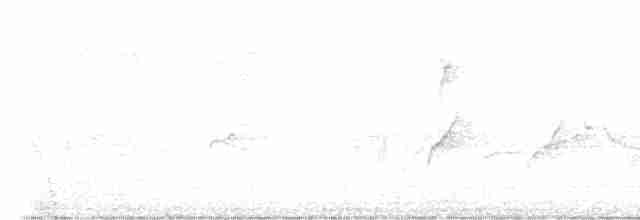 Tchitrec du Cap (cyanomelas/segregus) - ML616661757
