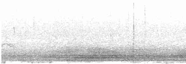 Большой кроншнеп - ML616662244