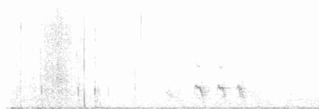 Kaktüs Baykuşu - ML616663102