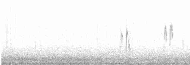 White Wagtail - ML616667313