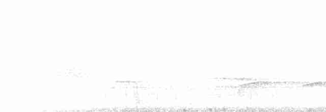 Гаїчка каролінська - ML616668480