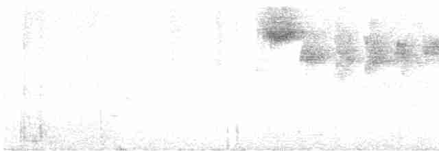 Yellow-shouldered Grassquit - ML616669400