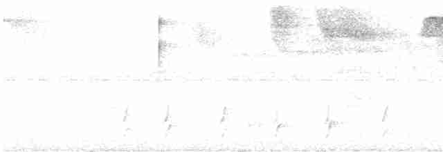 Arrowhead Warbler - ML616671762