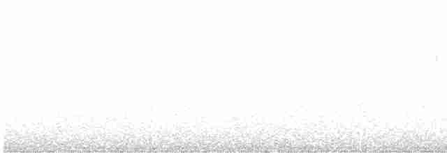 Stachelschwanzschlüpfer - ML616672660