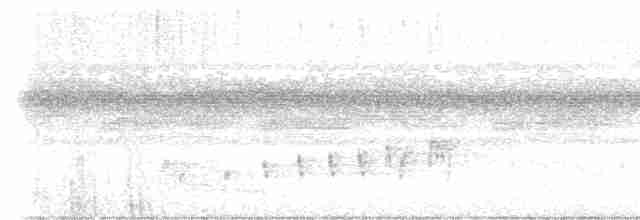 Braunhals-Nachtschwalbe - ML616672953