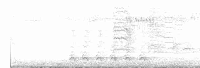 Пересмішник сірий - ML616673044