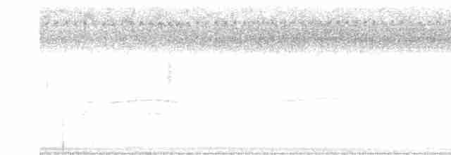 Канюк неоарктичний (підвид borealis) - ML616673045