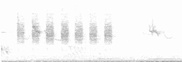 Комароловка чорнохвоста - ML616673601