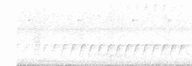 vandretrost (migratorius gr.) - ML616675507