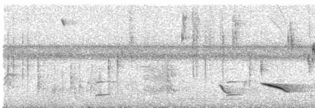 Зернолуск сірий - ML616675619