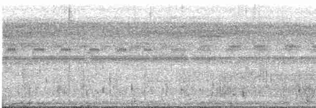 Weißbandschwalbe - ML616676402
