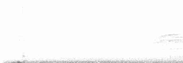 Дрізд-короткодзьоб плямистоволий - ML616677564