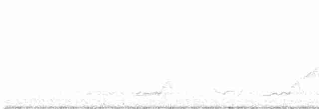 Schwarzkehl-Nachtschwalbe - ML616678766