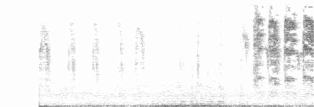 rorýs srpokřídlý - ML61667881