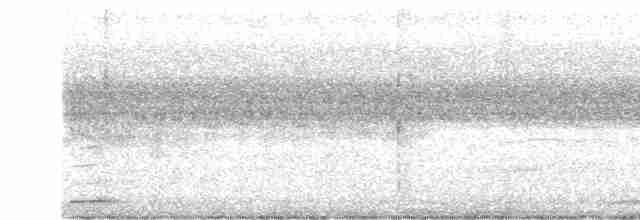 Лінивка-смугохвіст плямистобока - ML616680797