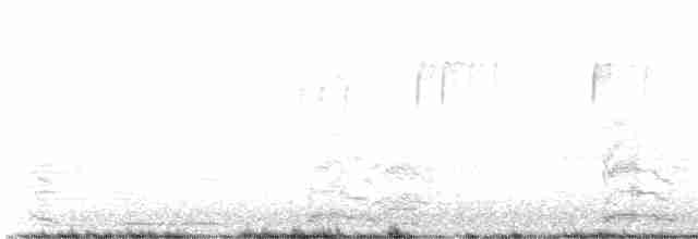 Cygne siffleur - ML616683742