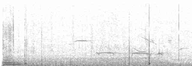 Лінивка-смугохвіст плямистобока - ML616683945