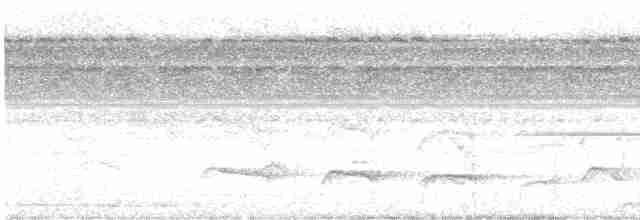 Лінивка-коротун бура - ML616689638