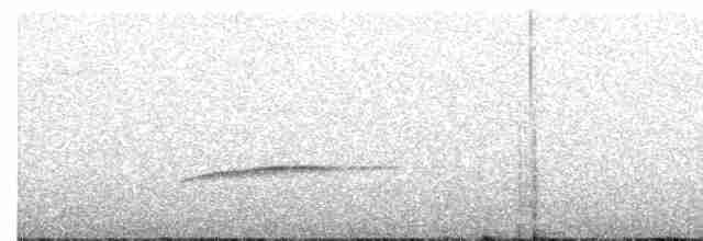 קיכלי Turdus בלתי-מזוהה - ML616690332