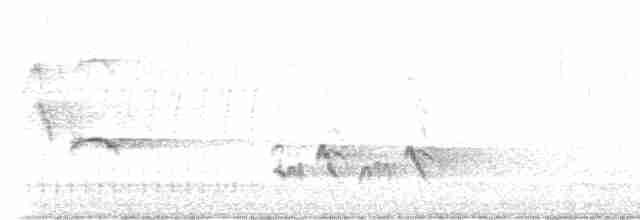 Тремблер прямодзьобий - ML616691562