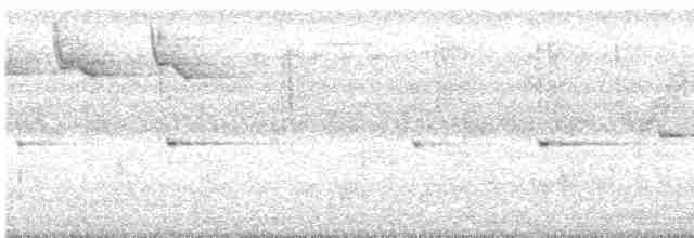 Philippine Pied-Fantail - ML616695052