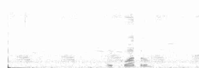 arassari bělohrdlý - ML616696317