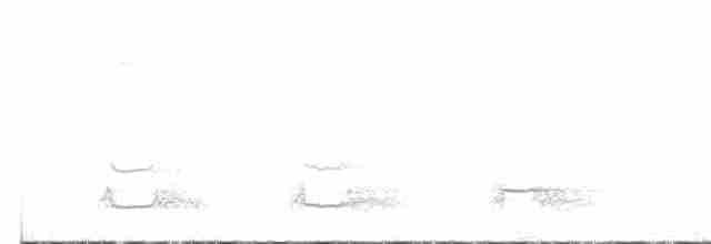 Дятел-смоктун сосновий - ML616696870