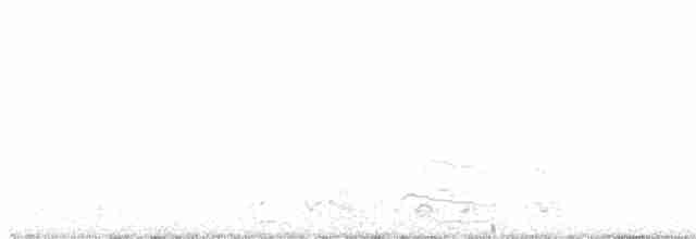 オオホシハジロ - ML616697252