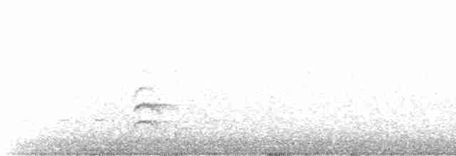 Каролинский поползень (aculeata/alexandrae) - ML616698133