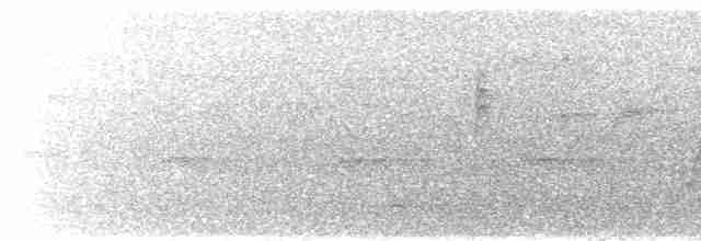 Желтогорлая нектарница - ML616698276