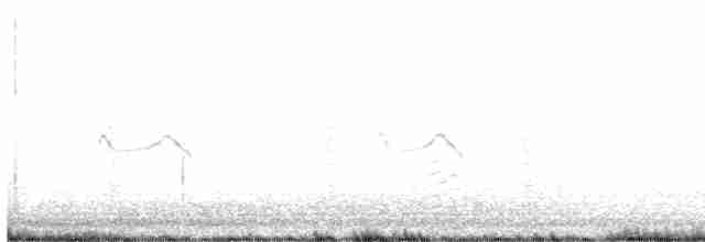 Cisne Trompetero - ML616699710