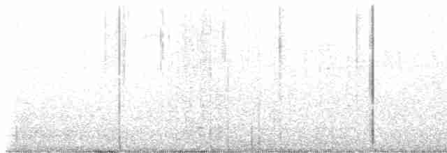Striped Cuckoo - ML616700024