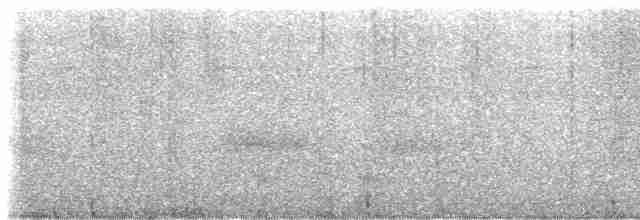 holub krátkozobý - ML616700674