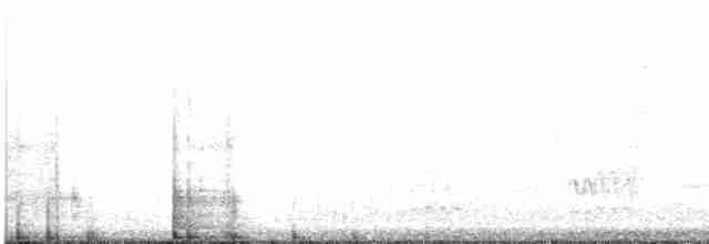 Veilchenkopfelfe - ML616702471