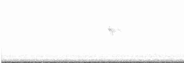 Veilchenkopfelfe - ML616702475