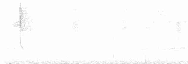 Candelita Plomiza - ML616706563