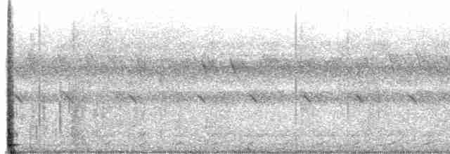 Northern Red-billed Hornbill - ML616709535