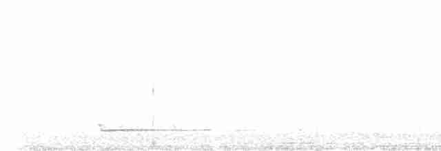 Сплюшка євразійська - ML616709726
