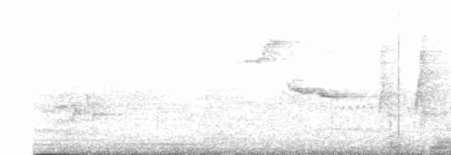 Large-billed Reed Warbler - ML616709759